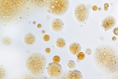 Abstract yellow bubbles of oil in water の写真素材