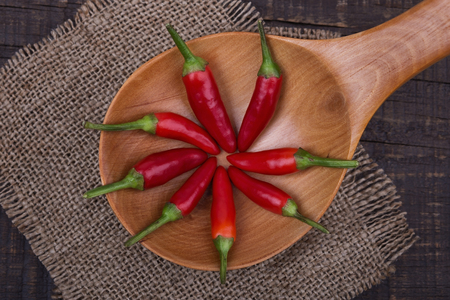 Red pepper paprika in a wooden spoon. In a dark vintage style.の写真素材