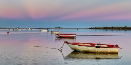 Panorama harbor with fishing boats on a pink sunset.