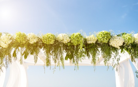 Collect flowers for the wedding arch. Against the background of the sky and the sun.の写真素材