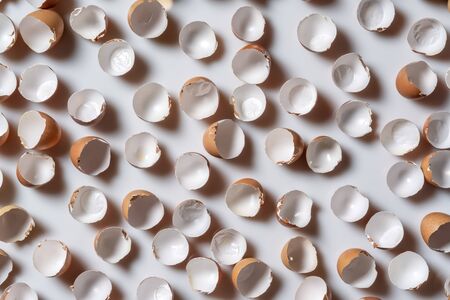Conceptual background from an eggshell, on a white backdropの写真素材