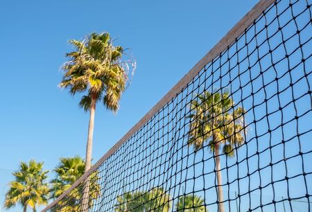 Conceptual sporty view tennis net on palm tree background.の写真素材