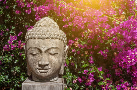 Buddhism bust statue in front of a stone wall that is covered in purple flowers and leaves on a sunny day. High quality photoの写真素材