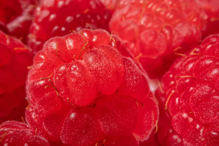 Raspberries red in bulk close-up of a many of berries background. Full depth of field. High quality photoの写真素材