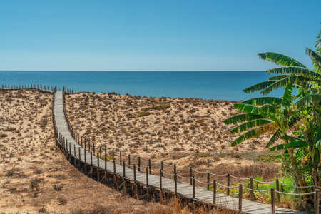 A romantic seascape of dunes, with palms and a wooden walkway, overlooking the sea. Copy space. Portugal Spain. High quality photoの写真素材
