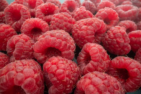 Raspberries red in bulk close-up of a many of berries background. Full depth of field. High quality photoの写真素材