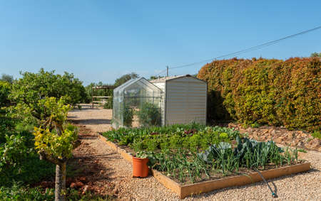 Mini-greenhouse made of plastic in the garden, for growing seedlings of vegetables at home, in early...