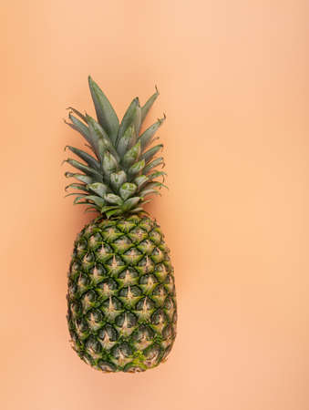 Creative copy space mockup with tropical fruit pineapple. For writing text in the concept of food on a yellow background. High quality photoの写真素材