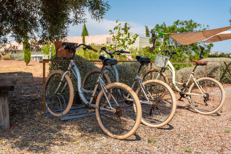 Four bicycles rest on a bike rack in a sunny outdoor area, surrounded by trees and a small garden. The scene is peaceful and invitingの写真素材