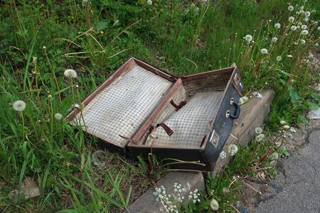 old-looking suitcase with an open lid lying on a lawn among dandelionsの写真素材
