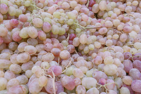 Background image: Ripe pink grapes close-up with berry texture