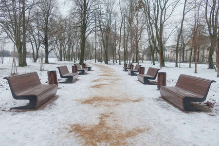 an icy path sprinkled with sand in a winter park between rows of benches