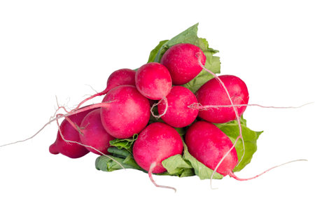 bunch of fresh pink radish root fruit with green leaves isolated on white background