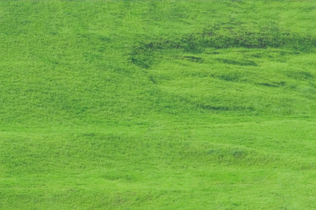 Background image: hillside with a small hollow covered with green grassの写真素材