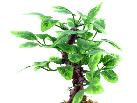 Artificial treeの写真素材
