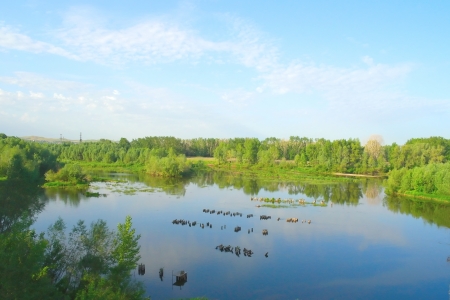 Beautiful summer landscape with river and blue skyの写真素材