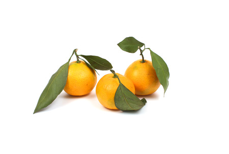 Ripe tangerine over whiteの写真素材