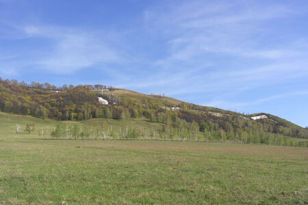 Spring landscape with forest on the mountainの写真素材