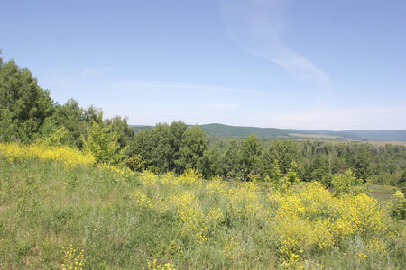 Beautiful summer landscape, forest on the hillの写真素材