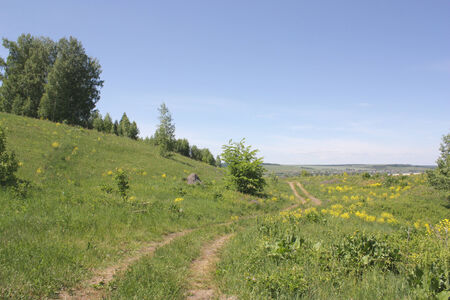 Summer rural landscapeの写真素材