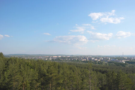 Beautiful summer landscape with pine wood and city