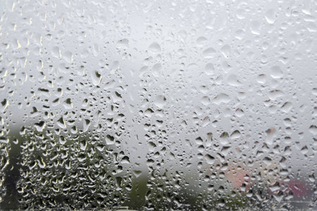 On a summer raining day. Drops of water on the window. Shallow DOFの写真素材