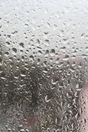 On a summer raining day. Drops of water on the window. Shallow DOFの写真素材