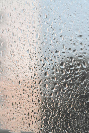 On a summer raining day. Drops of water on the window. Shallow DOFの写真素材