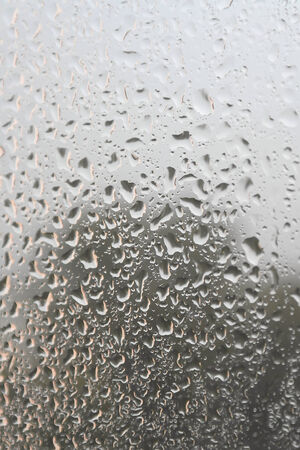 On a summer raining day. Drops of water on the window. Shallow DOFの写真素材