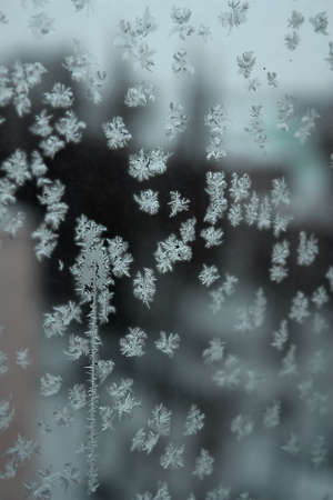 Abstract texture, pattern frost on the windowの写真素材