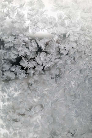 Abstract texture, pattern frost on the windowの写真素材