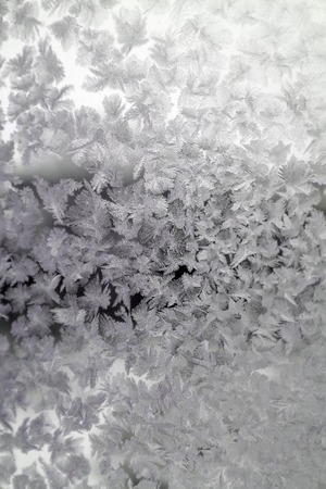 Abstract texture, pattern frost on the windowの写真素材