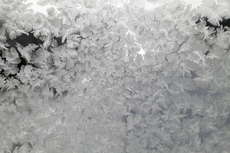 Abstract texture, pattern frost on the windowの写真素材