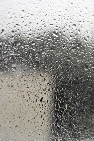 On a summer raining day. Drops of water on the window. Shallow DOFの写真素材