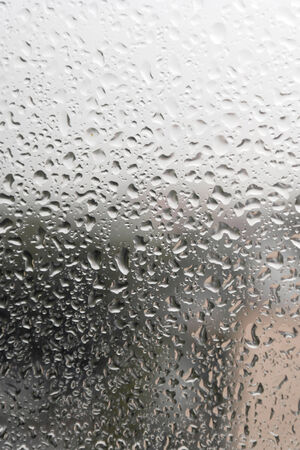 On a summer raining day. Drops of water on the window. Shallow DOFの写真素材