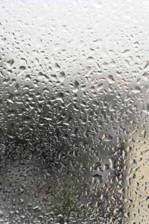 On a summer raining day. Drops of water on the window. Shallow DOFの写真素材