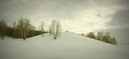 Beautiful landscape with birches on the hill, HDR imageの写真素材