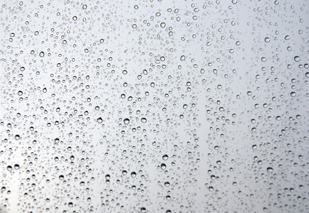 Drops of rain on the window (glass). Shallow DOF.の写真素材