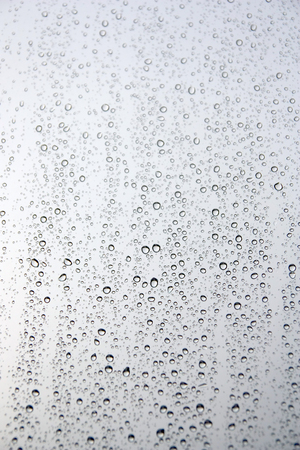 Drops of rain on the window (glass). Shallow DOF.の写真素材