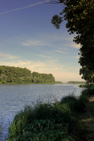 Beautiful summer landscape with riverの写真素材