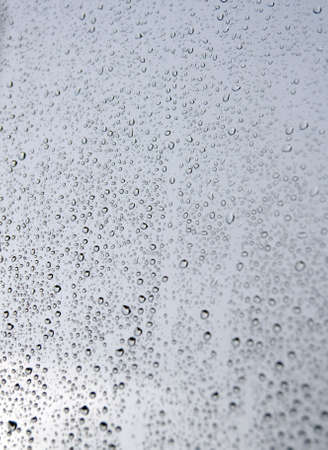 Drops of rain on the window (glass). Shallow DOF.の写真素材