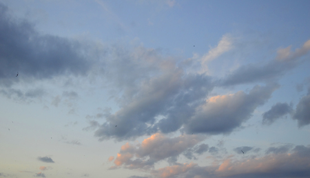 Beautiful evening sky with clouds and flying birdsの写真素材