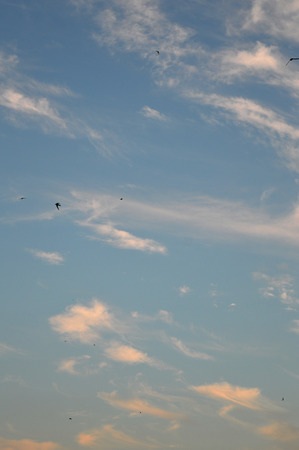 Beautiful eveing sky with clouds, air natureの写真素材