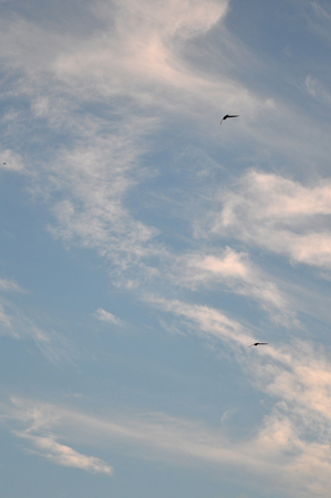 Beautiful eveing sky with clouds, air natureの写真素材