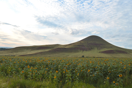 summer landscape with mountain and blue sky with cloudsの写真素材