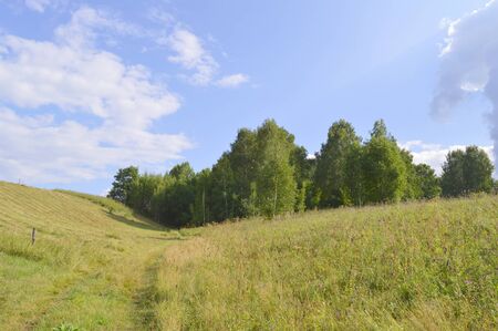 summer landscape with rural road and plantsの写真素材