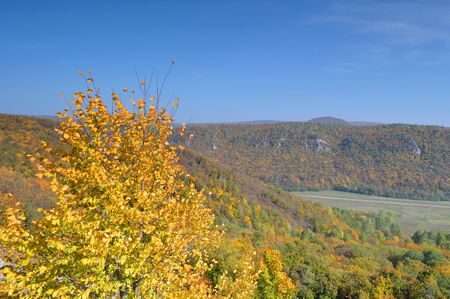 Autumn landscape, tree over mountainsの写真素材