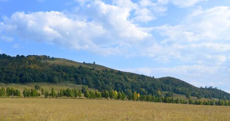 Summer landscape with forest on mountainの写真素材