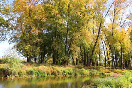 autumn landscape with river and treesの写真素材