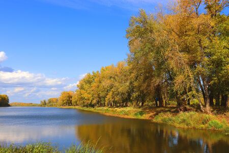 autumn landscape with river an treesの写真素材